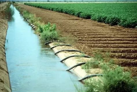 canals for irrigation.